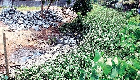 Rock and soil have been used to fill a portion of Punchathodu canal  Melton Antony