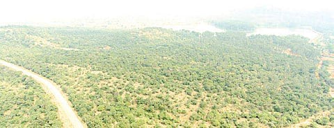 Harohalli-Anekal Highway is a part of a significant wildlife corridor area