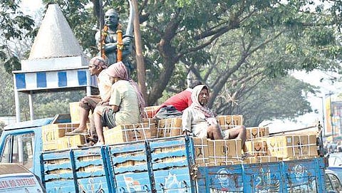 Indefinite nationwide strike is likely to affect inter-state movement of food grains, fruits, vegetables and other goods | EPS