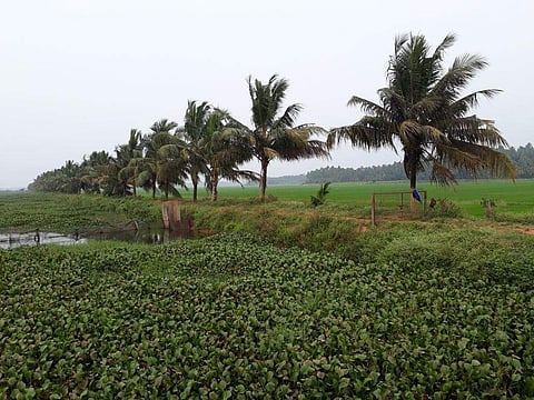 Image used for representational purpose. (Express File Photo)