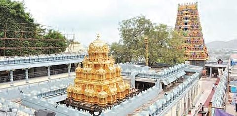 Andhra Pradesh temple plans special yagam to appease Goddess for achieving the special category status