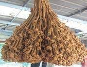 Knot the statement