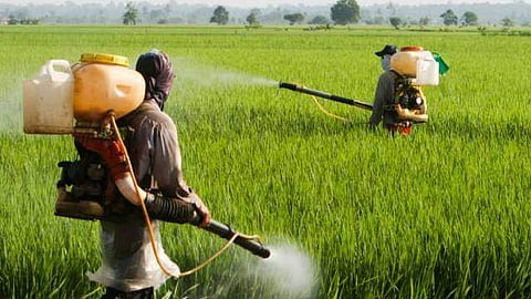 Fertilisers