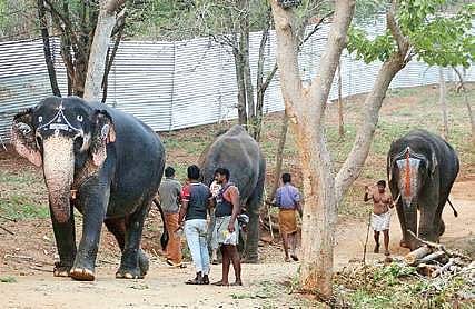 Image used for representational purpose. (Express File Photo)