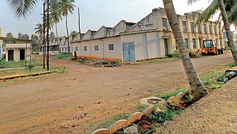 In this educational, and health hub, in fact, nearly 10% of the population is dependent on the Shamanur family for livelihood | EPS