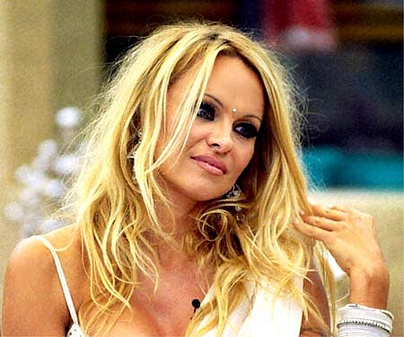 Pamela Anderson (File Photo)