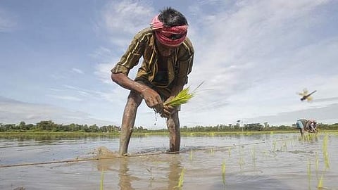 Image used for representational purpose only. (File photo | Reuters)