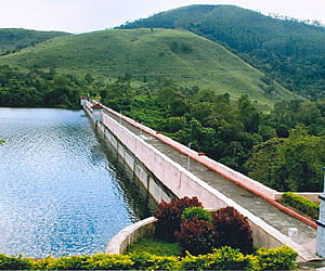 Image used for representational purpose only.