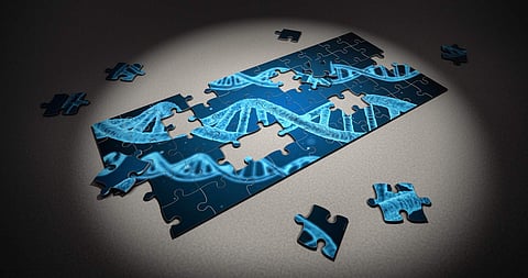 Sweeping gene survey reveals new facets of evolution