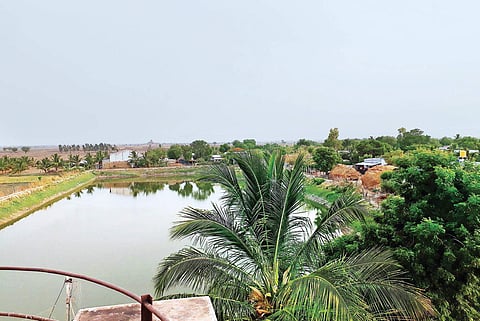 A huge pond created by the villagers; water from the pond caters to drinking and other necessities of villagers; view of the Krishnanagar camp village near Ballari