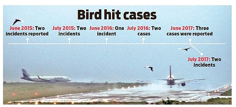 Monsoon measures to check bird strikes at airport