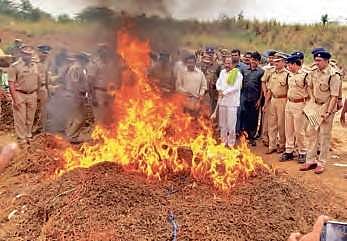 Excise Minister KS Jawahar sets seized dry ganja on fire in Rajamahendravaram rural | EXPRESS
