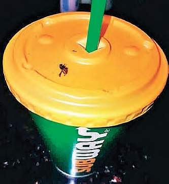 Fly that was found by the techie in her drink|Facebook