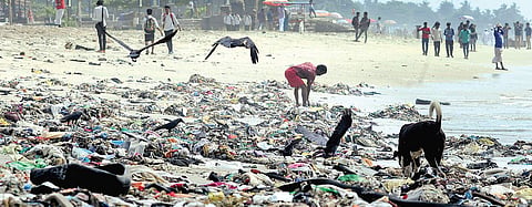 Of a polluted coastline searching for solutions