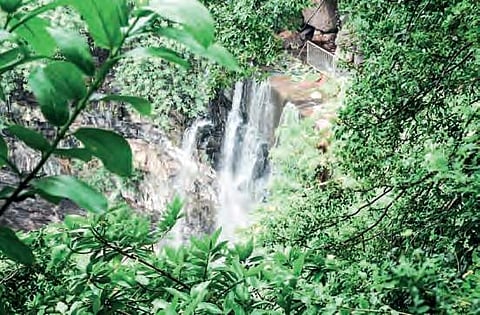 A scenic waterfall in Nallamala forest of Kurnool district.