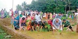Paddy being planted as part of World Environment Day at Kattakada