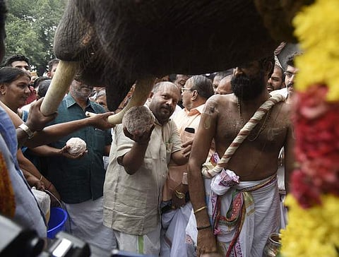 Agriculture Minister V. S. Sunilkumar giving rice-ball to an elephant during Vadakkumnathan Aanayootu in Thrissur on Tuesday. (Photo | EPS)