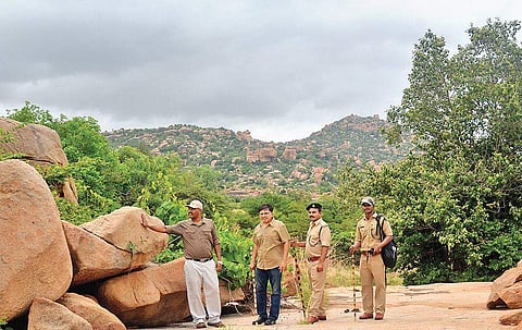 (Above) A leopard resting on a rock in the Gudekote habitat;  DCF Ramesh Kumar, photographer S K Arun and other forest staff during their rounds