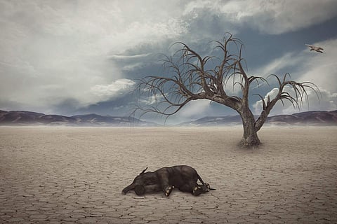 Image for representational purpose only.