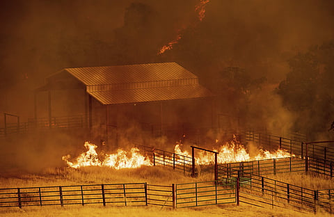 Image used for representational purpose only (Photo | AP)