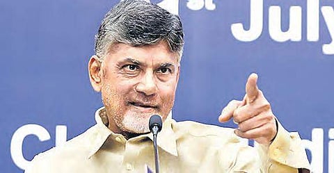 No truth in reports of formalin in Andhra Pradesh fish: CM N Chandrababu Naidu
