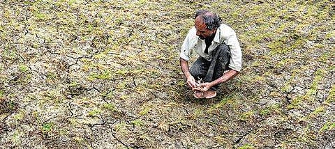 While 10 of the 16 districts are from North Interior Karnataka, Bengaluru Urban is among the six districts with deficient rainfall in South Interior Karnataka. (Photo| EPS)