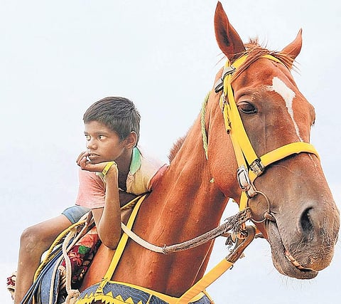 Most coolies are 15 years to 25 years old  Nakshatra Krishnamoorthy