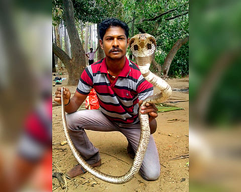 The snake man Kannan. (EPS)