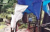 Mathai, the monkey, caged at Kodanad mini zoo  Express