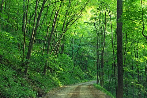 Image used for representational purpose only.