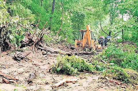 The trees and boulders pushed down by landslides that have damaged the Nenmara-Nelliampathy road