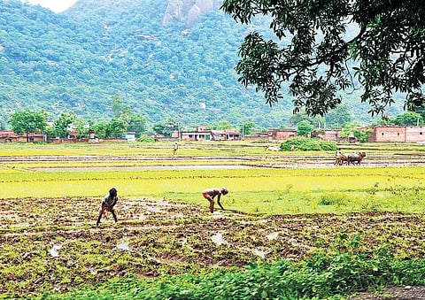 NABARD will implement the scheme over four years under National Adaptation Plan for Climate Change Project. | express