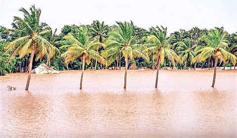 Nidadavole in West Godavari submerged in floodwater| Express