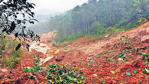Debris flow, earthflow, landslips and landslides razed down the entire soil structure in Idukki district | express