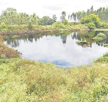 A pond near the landfill site at Mavallipura filled with leachate | Nagaraja Gadekal