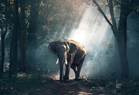 Image used for representational purpose only