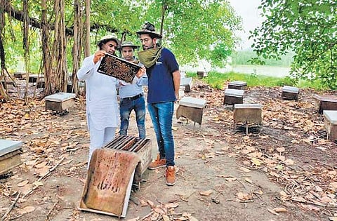 Project Mithaas was conceptualised by members of Enactus, a students’ society at Delhi University’s Hans Raj College| Express