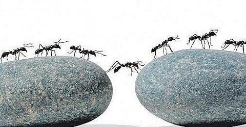 Discipline and Diligence