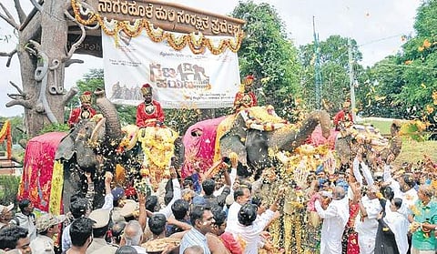 District Minister G T Devegowda and others shower petals on the elephants before their journey to Mysuru from Nagapura Haadi in  Hunsur on Sunday | Udayshankar S