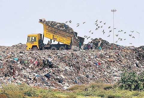 olice seized four vehicles loaded with food and fish wastes and a lorry loaded with human excreta from Kerala across Kanniyakumari on Monday. 