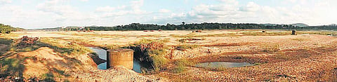 Sand dunes which were submerged less than three weeks ago lie fully exposed on the Bharathapuzha river bed at Ganeshagiri  near Shoranur | Prajith Pradeep