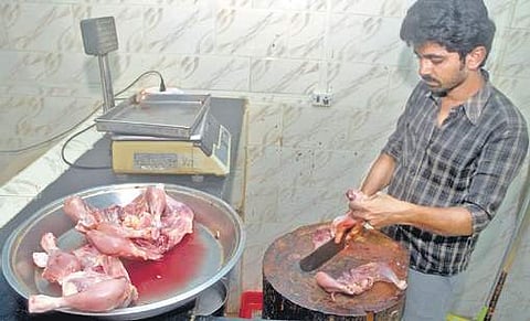 'Democracy means protection of minorities': HC questions ban on slaughterhouses in Haridwar 