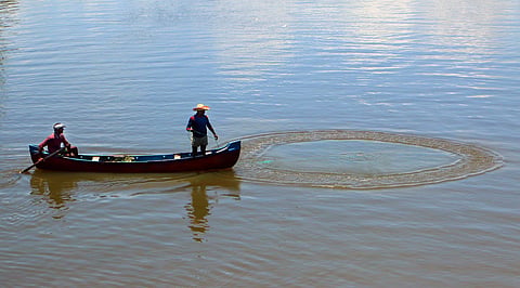 Image of a fisherman used for representational purpose only. (Express Photo | TP Sooraj)