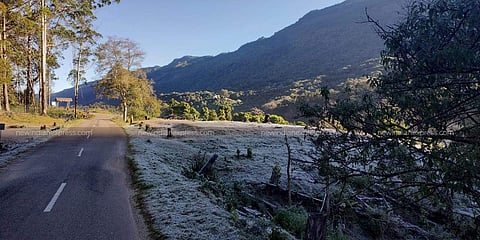 Munnar, considered the Kashmir of Kerala, is blanketed with thick frost and reported minus 3 degree Celsius this past week. A thin blanket of frost was seen in many parts of the hill station particularly in the higher reaches of Meesapulimala, Kolukkumala