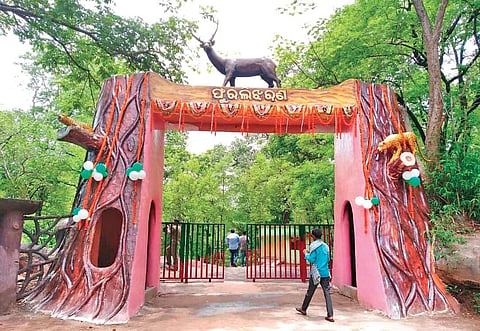 Plan to attract visitors to Kalahandi