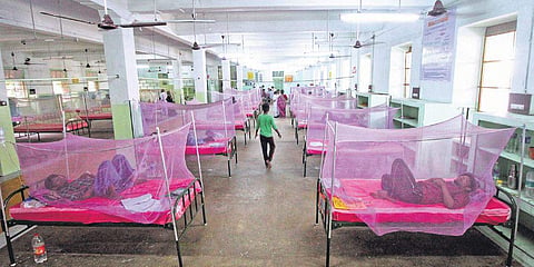 A special ward has been created at Government Rajaji Hospital in Madurai to attend to  dengue cases. (Photo | K K Sundar, EPS)