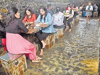 Guests will get a complimentary fish pedicure before starting their meal  Nagaraja Gadekal