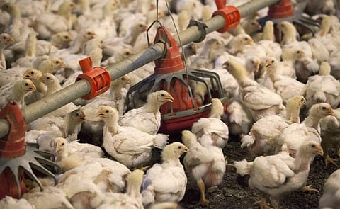 Image used for representative purpose.