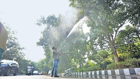 A MCD worker sprays water on trees to curb air pollution by combating accumulated dust in New Delhi on Friday | Shekhar Yadav/EPS