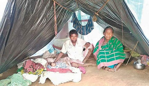 Parbati and Chittan along with their newborn in the tent I Express